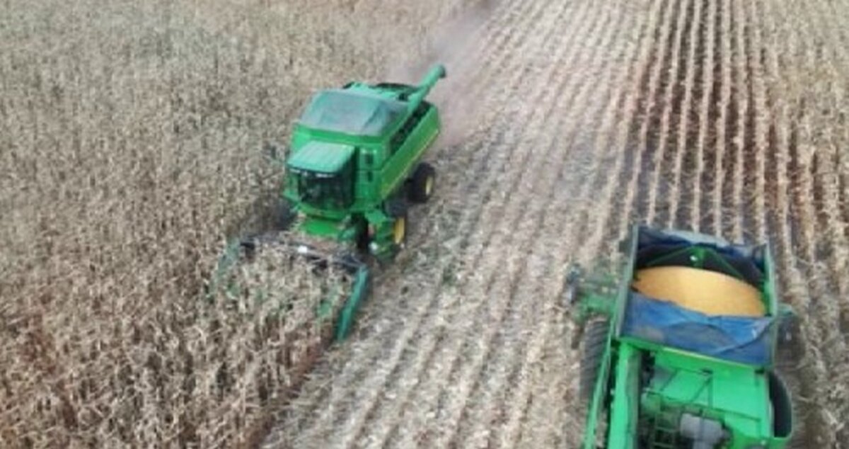    Куряне в пятерке лидеров среди экспортеров зерна