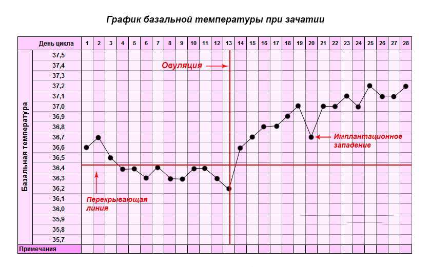 Как повысить температуру тела: быстрые и безопасные методики - l2luna.ru