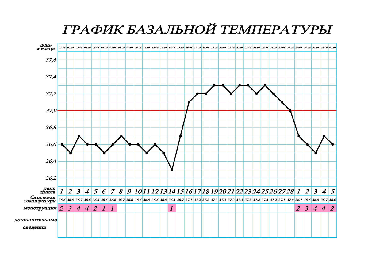 Измерение базальной температуры тела