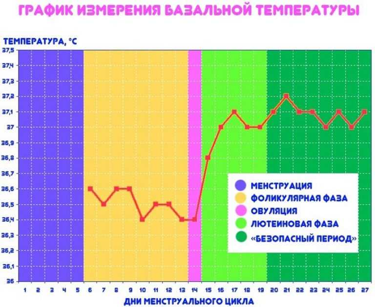 Базальная температура у женщин