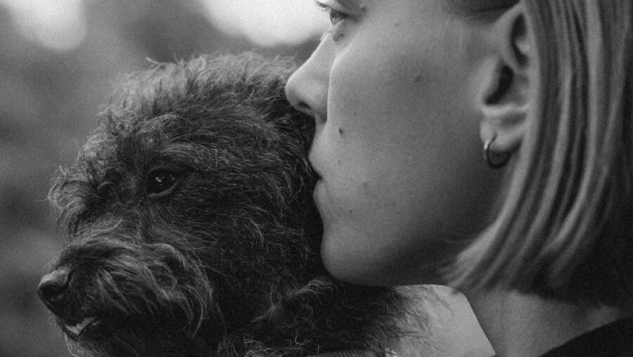 Насилие к живому недопустимо ни в какой форме - ни в физической, ни в психологической!