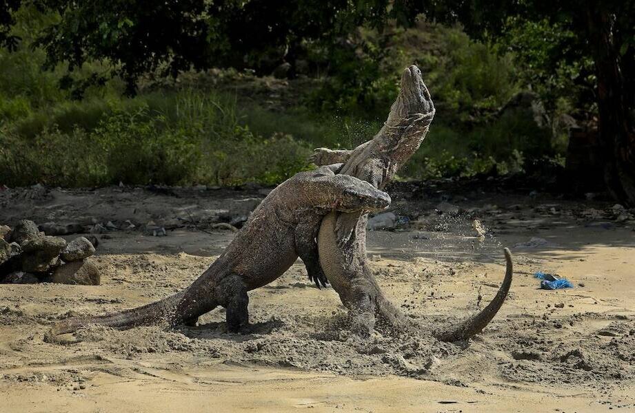    Фото: nationalgeographic.com