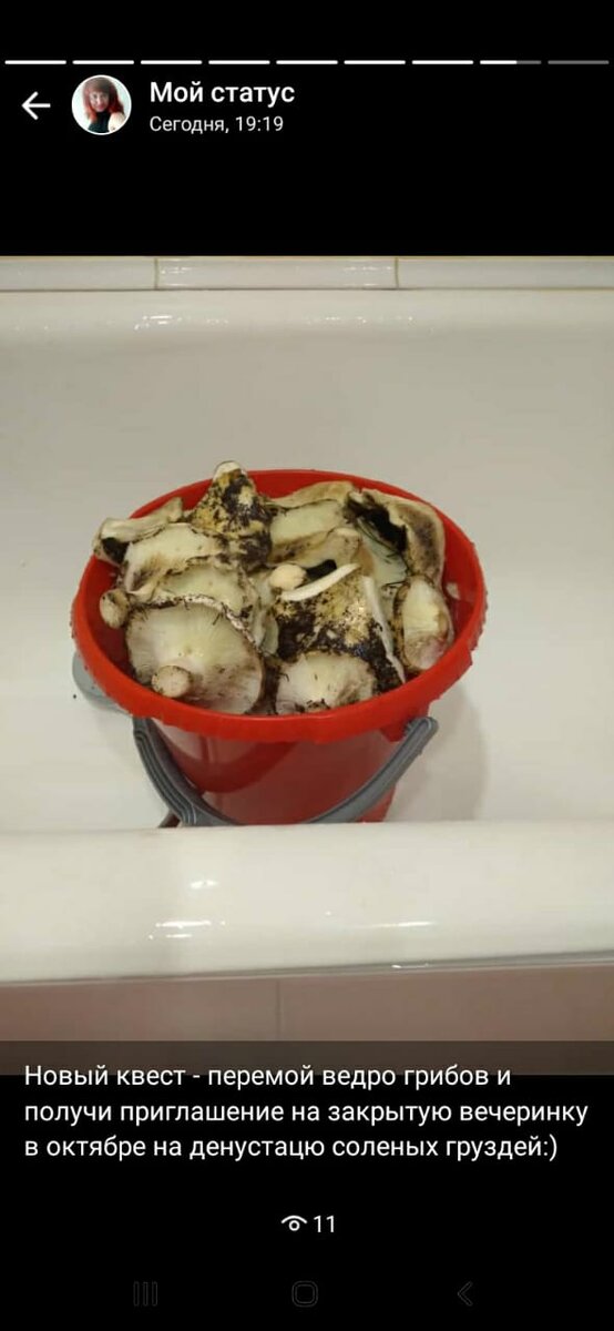 Никто не пришел грузди мыть! Никто!!! В следующий раз буду кормить только тех, кто поучаствовал в их помывке... ну или меня из леса с грибами до дома довез! Только так!