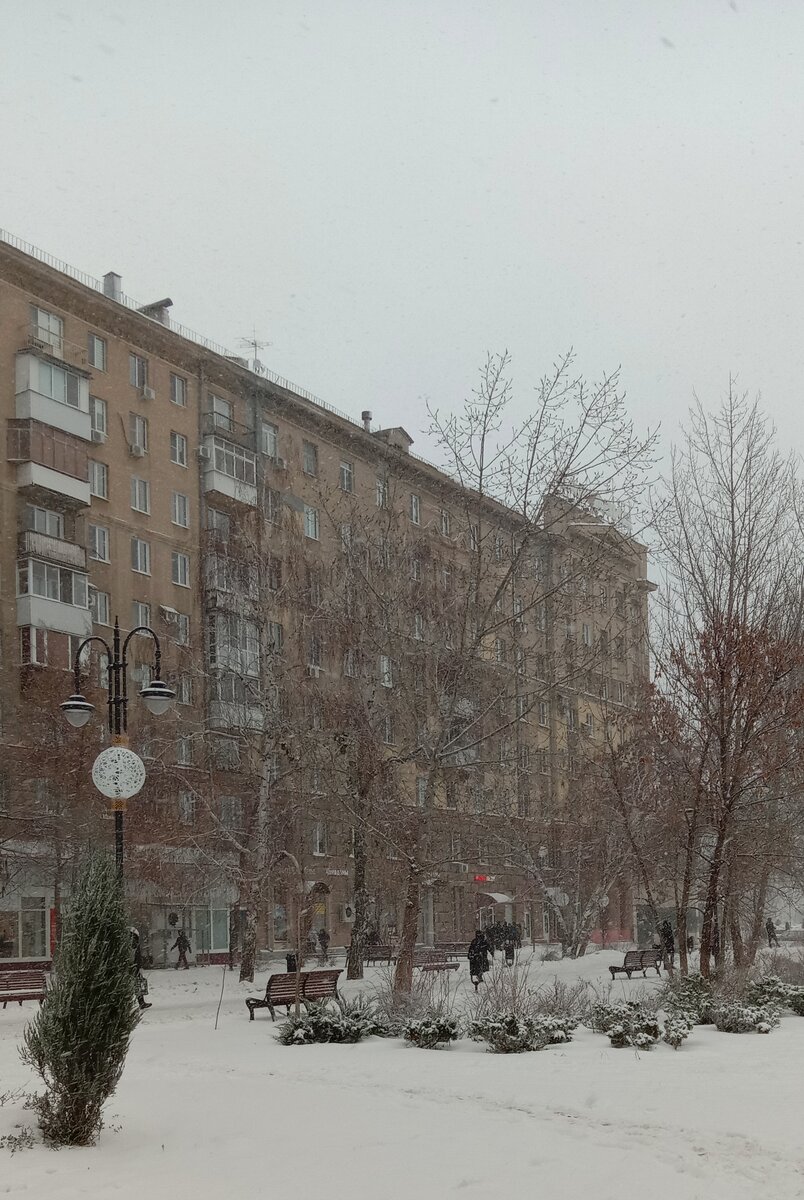 Ул им.Н.И.Вавилова 