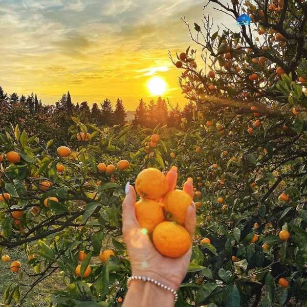 Переезжайте жить на побережье. Агентство недвижимости Мечты у моря: хорошие риэлторы по отзывам покупателей 89384651990