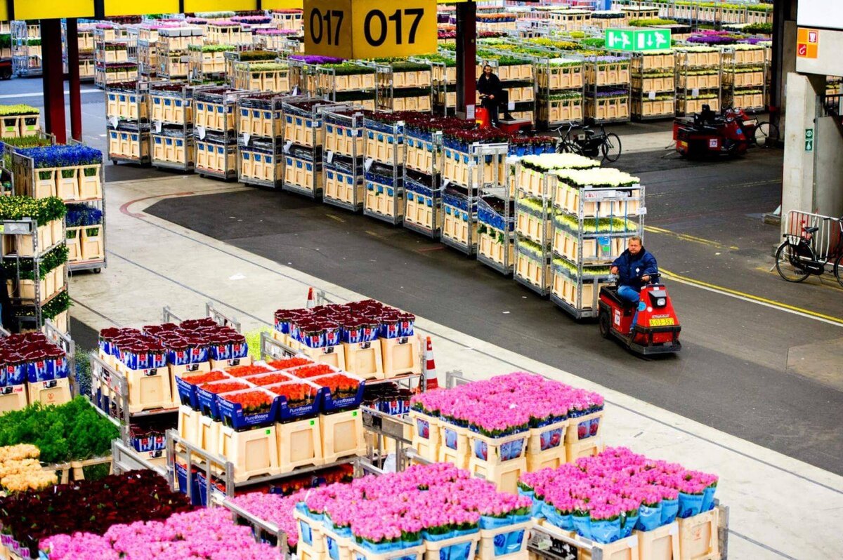 лидеры продаж оружия. страны производители мобильных телефонов. сетевые компании лидеры рынка. страны лидеры экспортеры нефти. самые популярные банки.