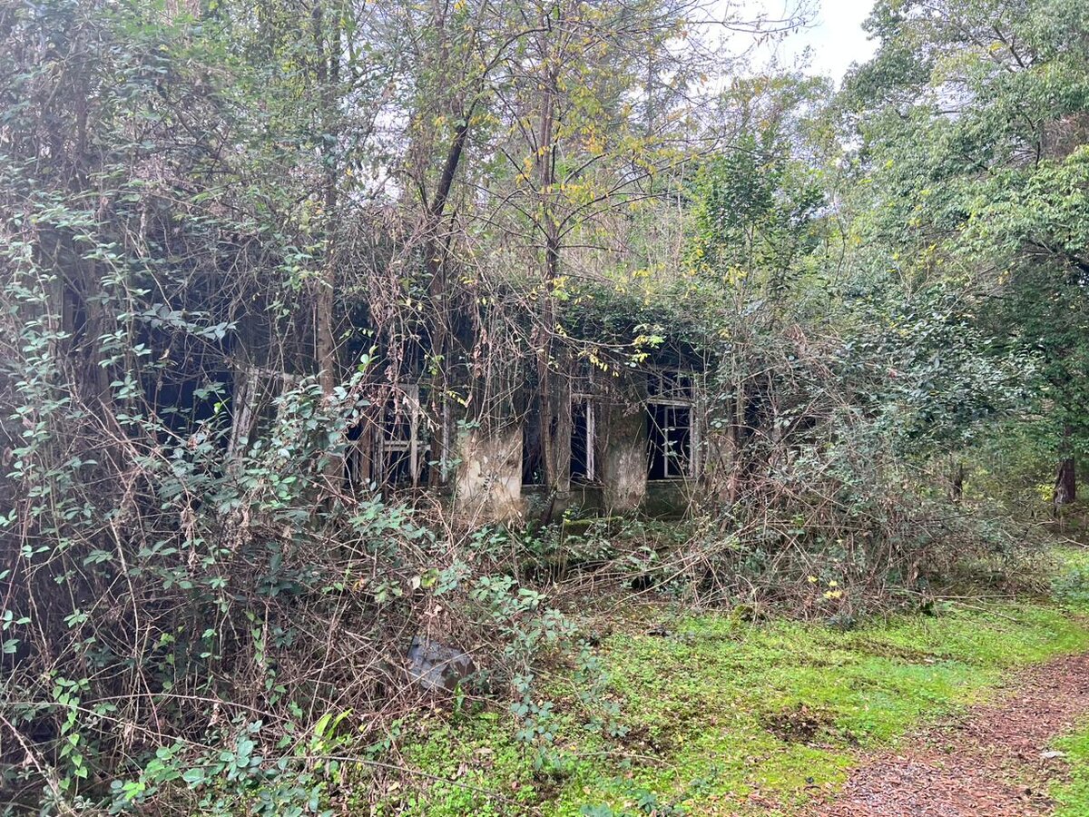 Лагерь "Солнечный берег". Абхазия. Ноябрь, 2023 год.