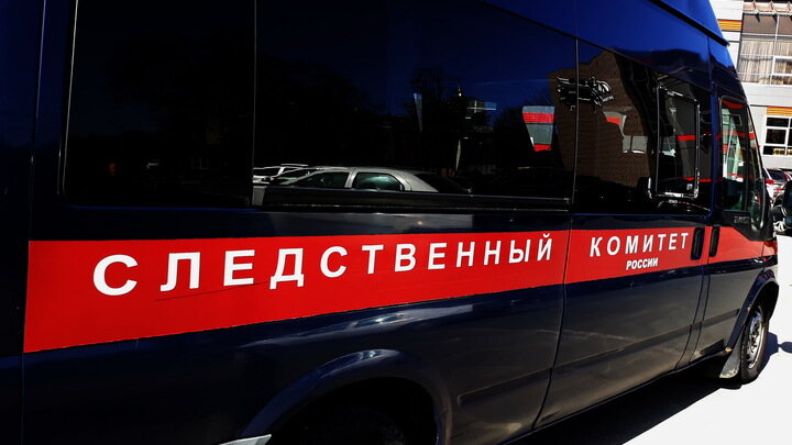 ZAMIR USMANOV/GLOBALLOOKPRESS