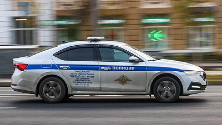 Фото: globallookpress.com/Bulkin Sergey