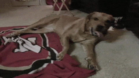 Эта гифка даёт крайне приблизительное представление... / Картинка с просторов.