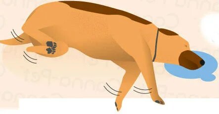 Этот рисунок – уже поточнее. / Картинка с просторов.