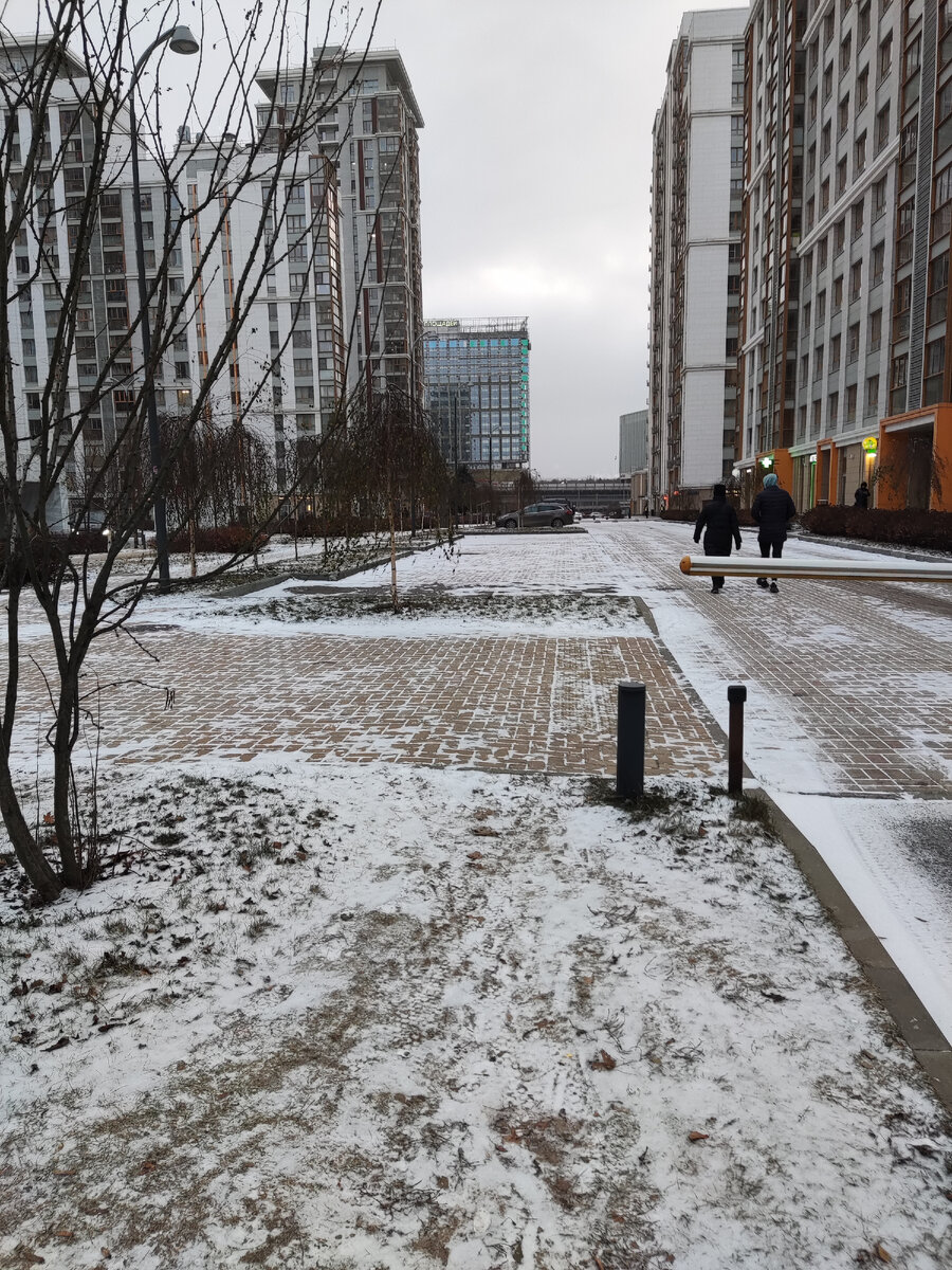 Бегала за катриджем в Озон