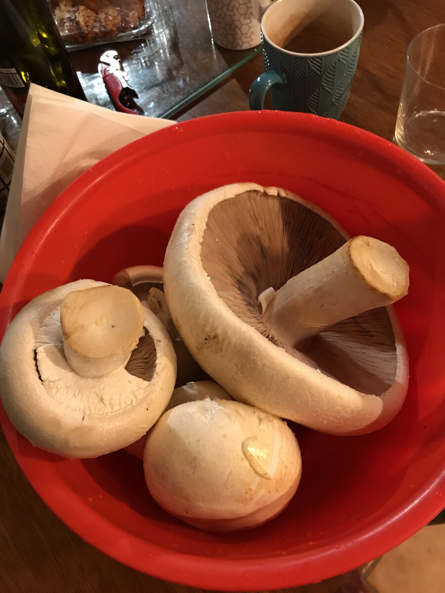 В прошлом году шампиньоны были какие-то циклопические