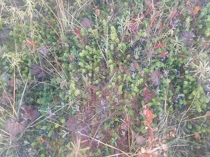 Фотография из личного архива автора