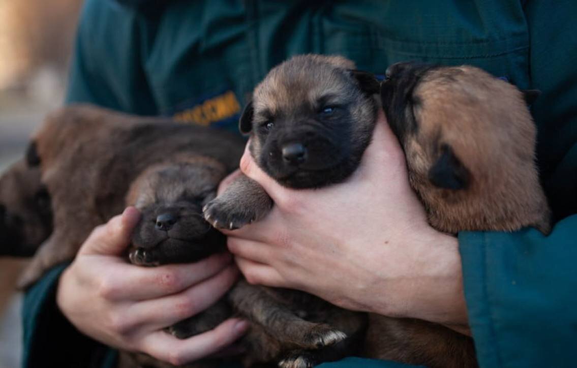 Проверка на безопасность