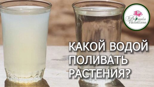 ПРАВИЛЬНАЯ ВОДА ДЛЯ ПОЛИВА