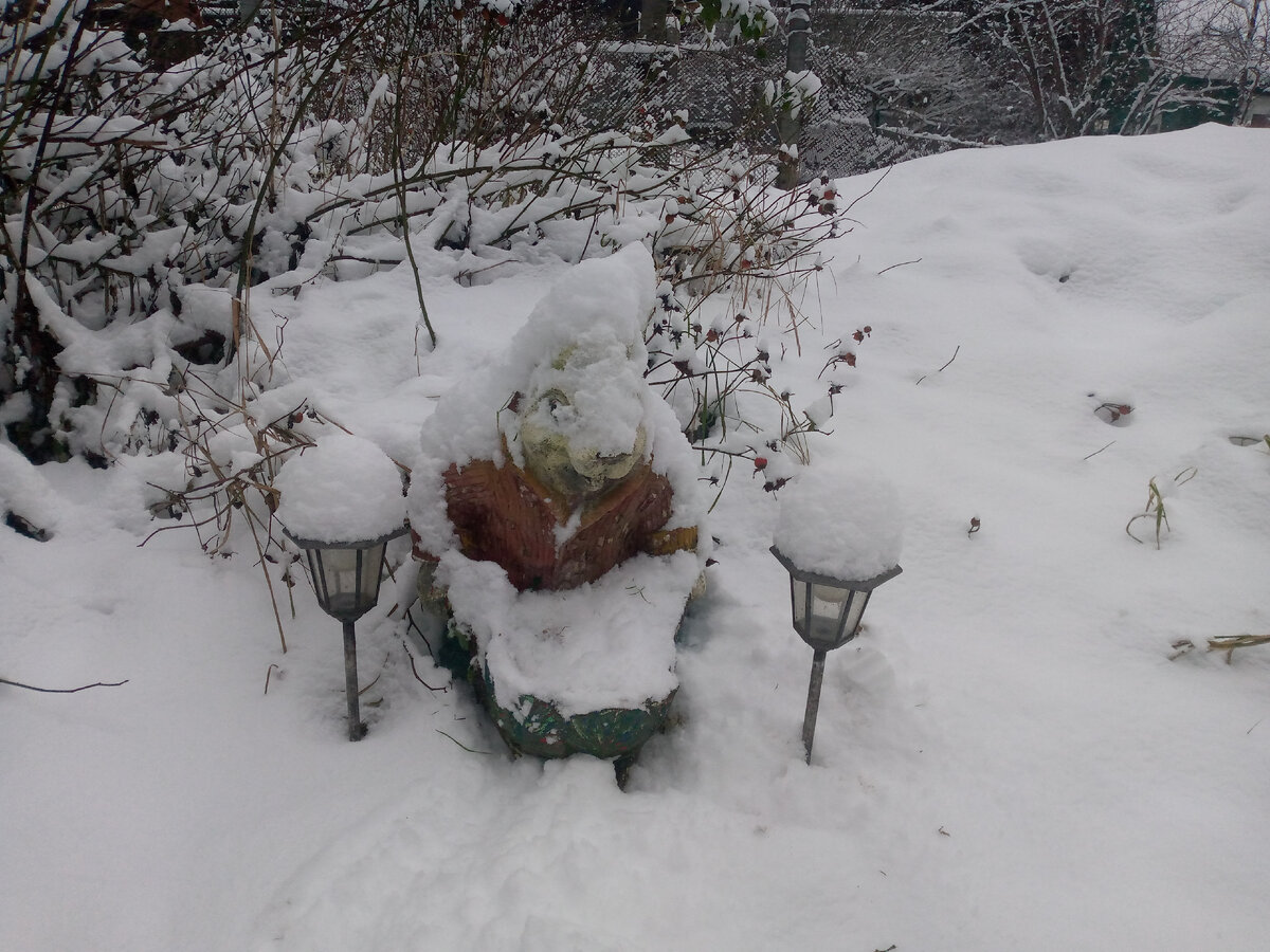 Выпало столько за ночь