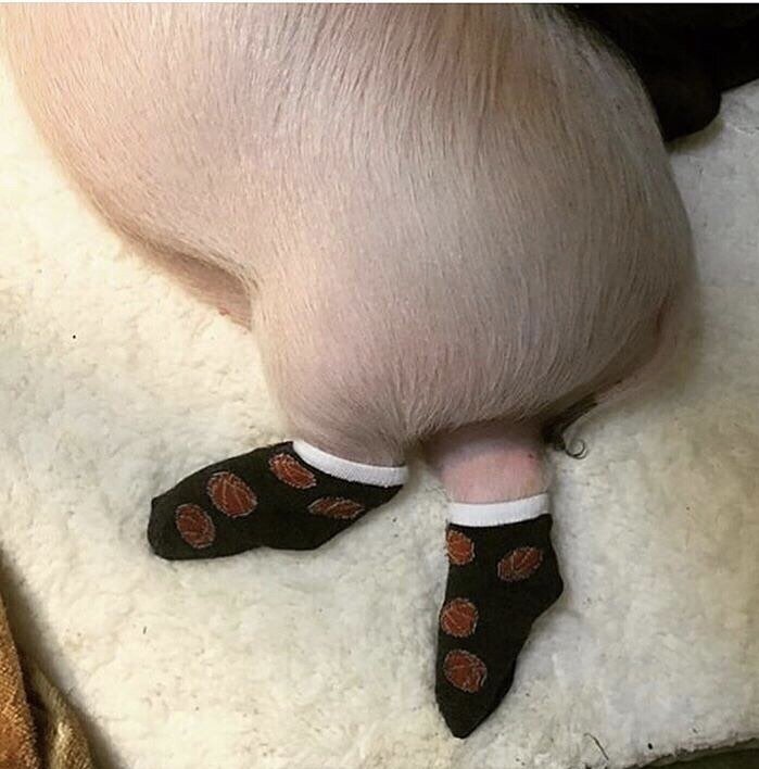 Фото из открытого доступа 