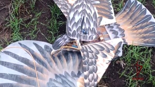 ФОТО: СКРИНШОТ ВИДЕО РОСГВАРДИИ