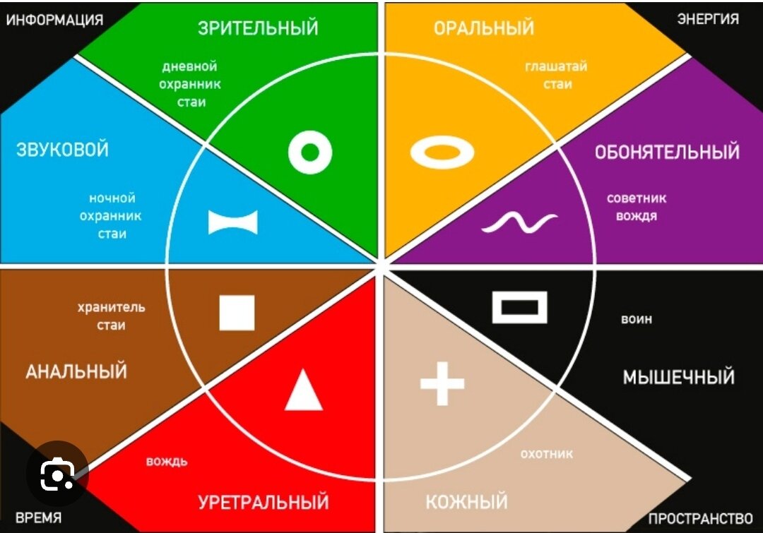 Система векторной психологии