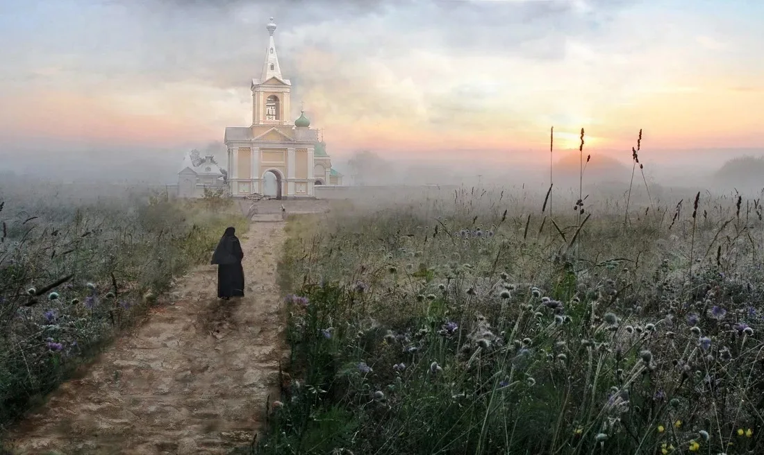 Тень попутчик