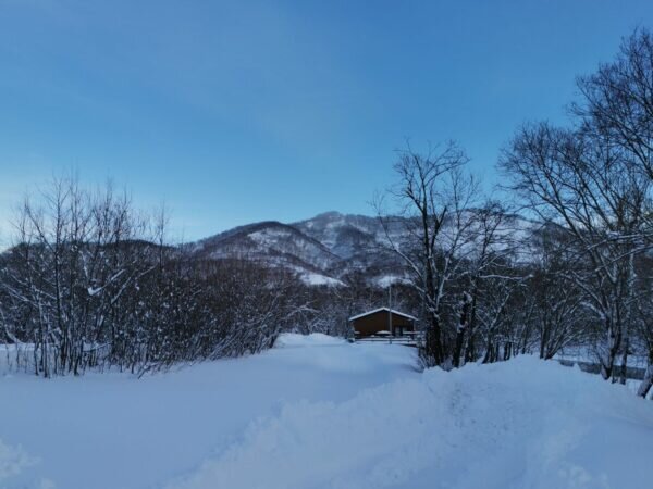    Фото: Никита Чудин. UG.RU