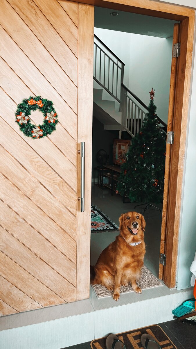 Хани приглашает вас на экскурсию в наш дом