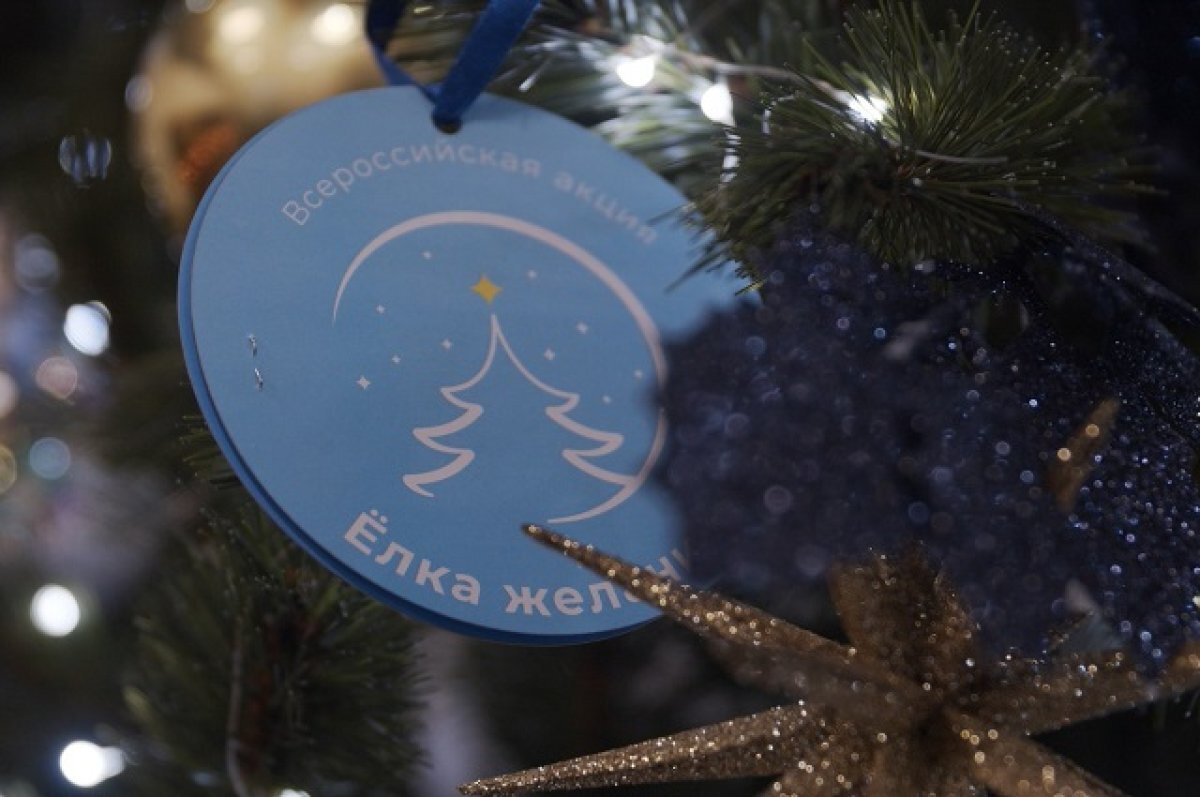    Жителей Камчатки приглашают принять участие в акции «Ёлка желаний»