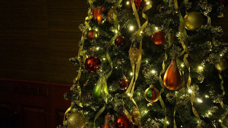     Елка. Украшения. Новый год. СС0