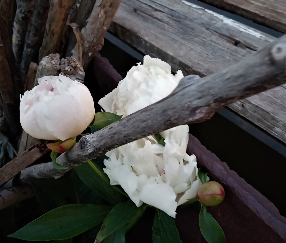 Фото автора канала.