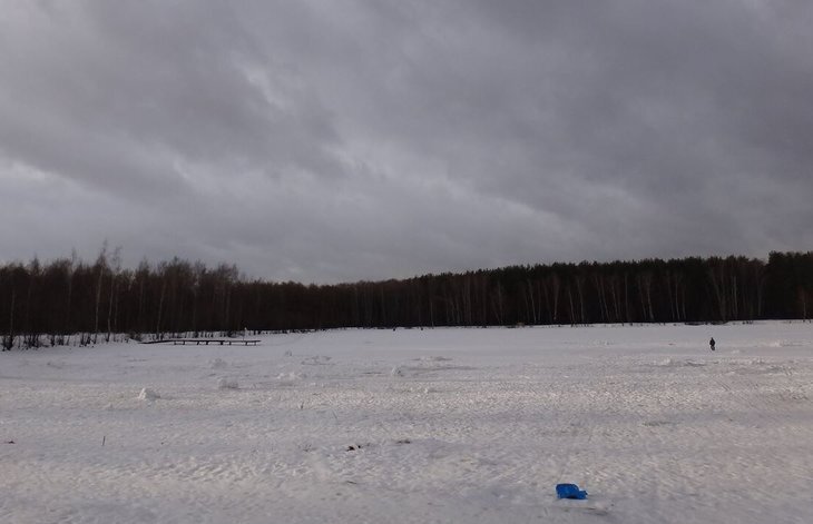    Какая погода будет до конца ноября 2023 и в целом зимой