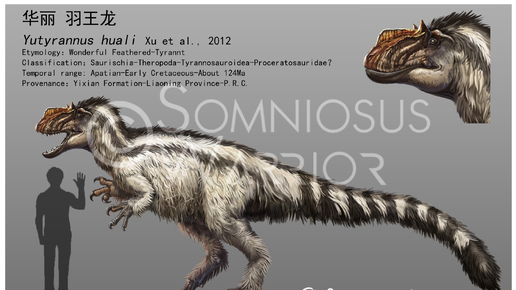 Скачать Absolutely Anything | Дзен