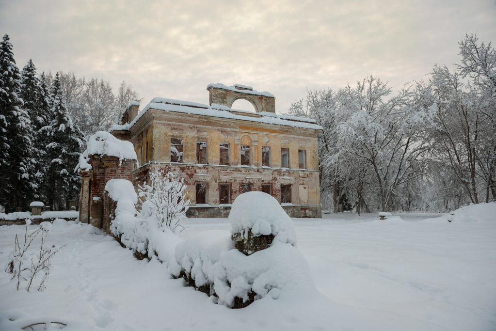 фото из интернета