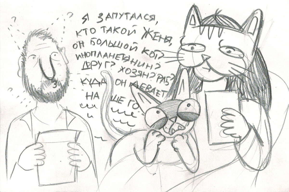 Кот на приеме у зоопсихолога.