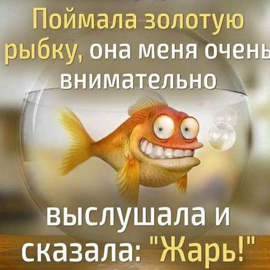 Смешные картинки про золотую рыбку