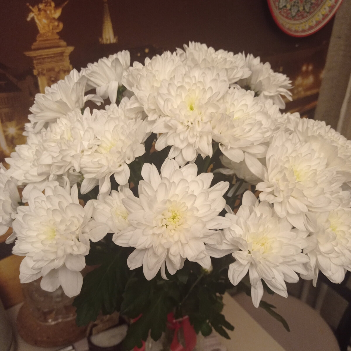 Какой красивый.