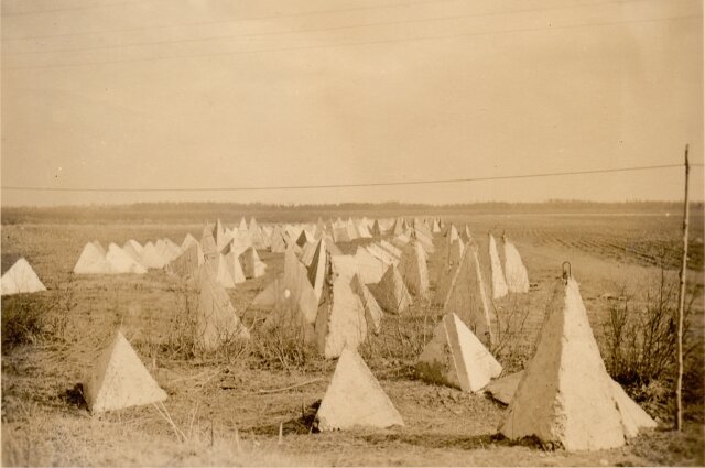    Надолбы в 1941 году. Фото: Commons.wikimedia.org
