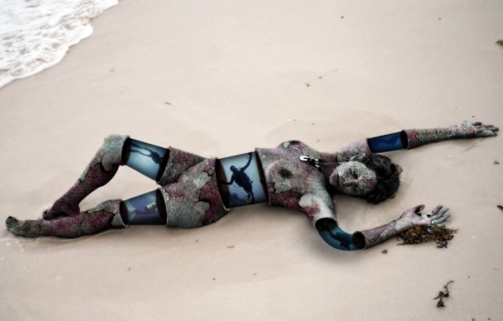 Автор Ян Олихоек