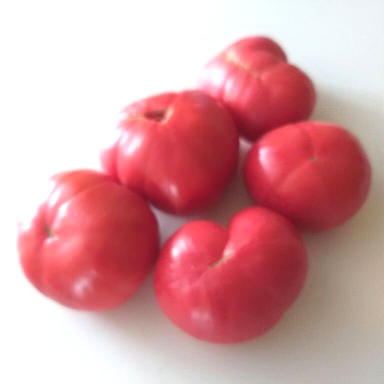    (Dwarf Large Lucky )
