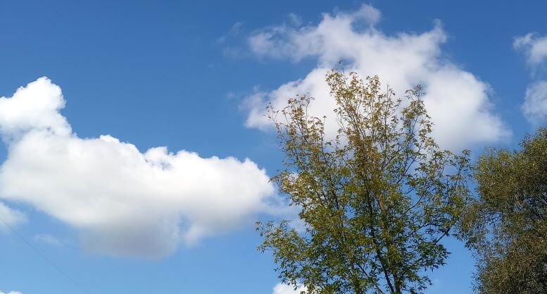 Небо