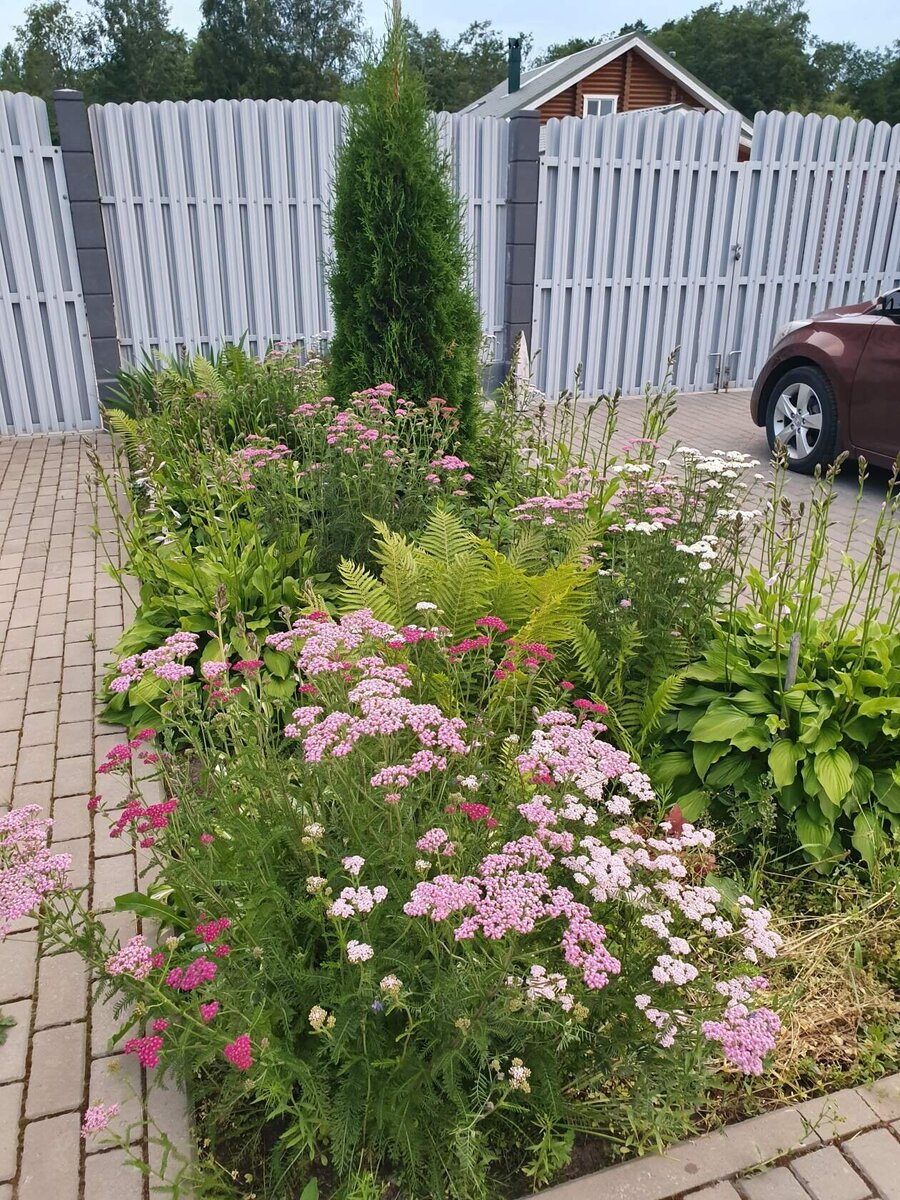 Участок с красивым домом и ландшафтом. Фото автора.