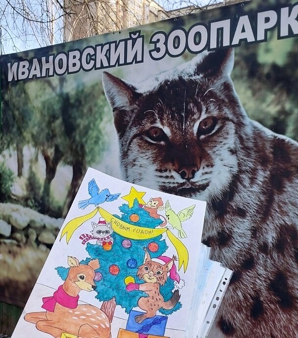    День открытия вольера для рысей в ивановском зоопарке перенесли