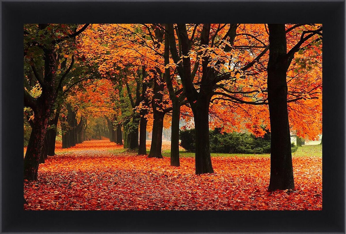 Гулять по осени не разжимая  рук