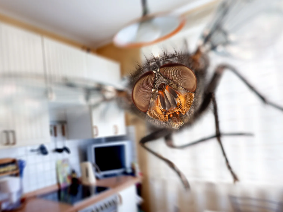 Фото с сайта https://hi-tech.mail.ru/