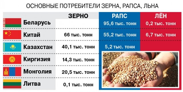    Фото: АиФ на Енисее/ Максим Тодорашко