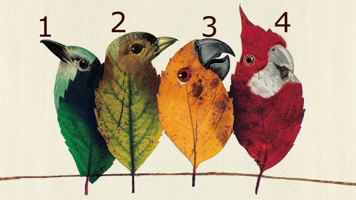 Тест – гадание на птилистьях или что новое прилетит в вашу жизнь