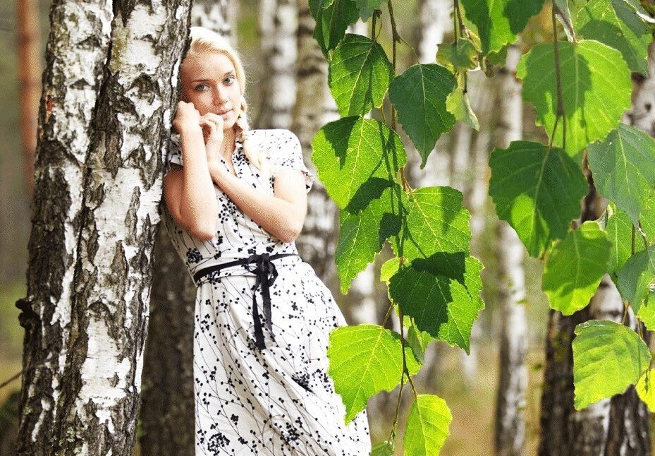 из свободного доступа