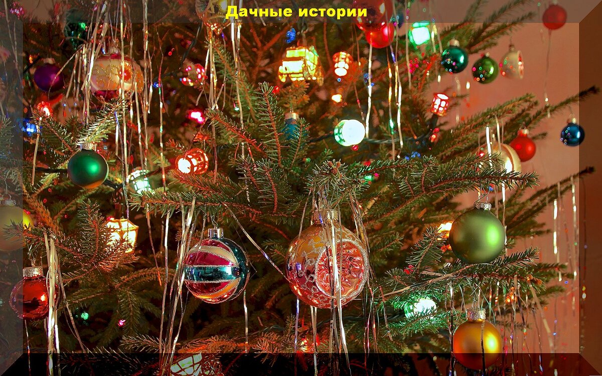 https://vk.com/photo-159774511_457262706