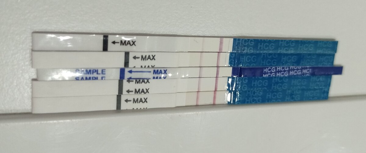 Тесты делала через день. Первый на вечер 6 дня переноса эмбрионов.