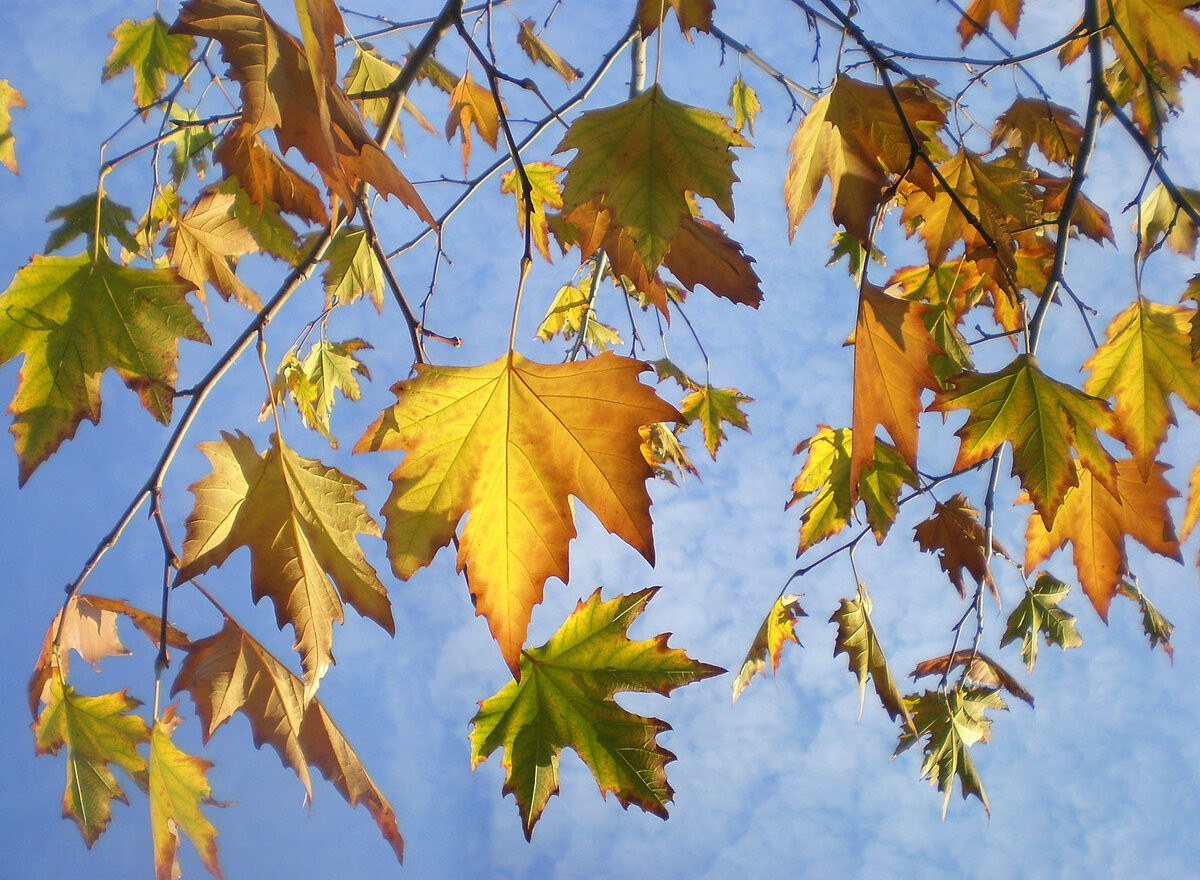 Фотографии авторские.